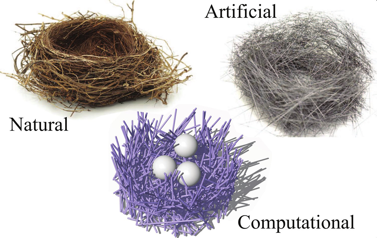Three-types of-nests